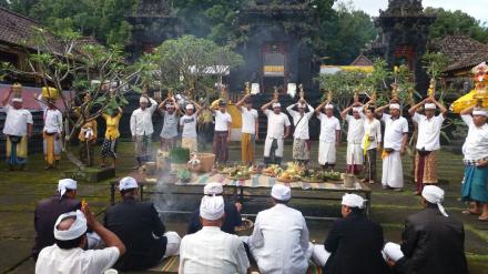 Dudonan Upacara Ngajum, Makiis, Caru Kesanga lan Neduh Tahun 2018